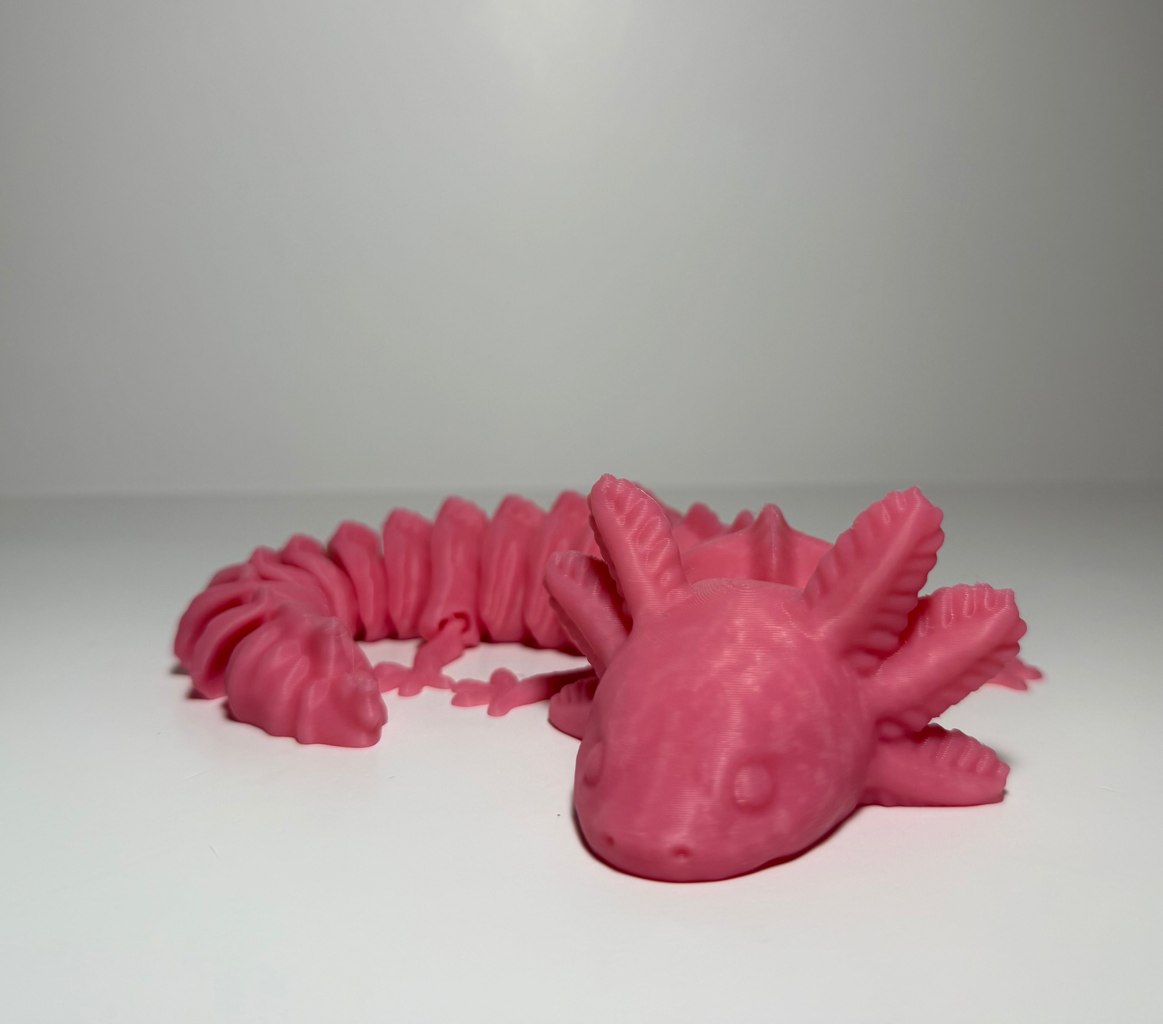Articulated Axolotl
