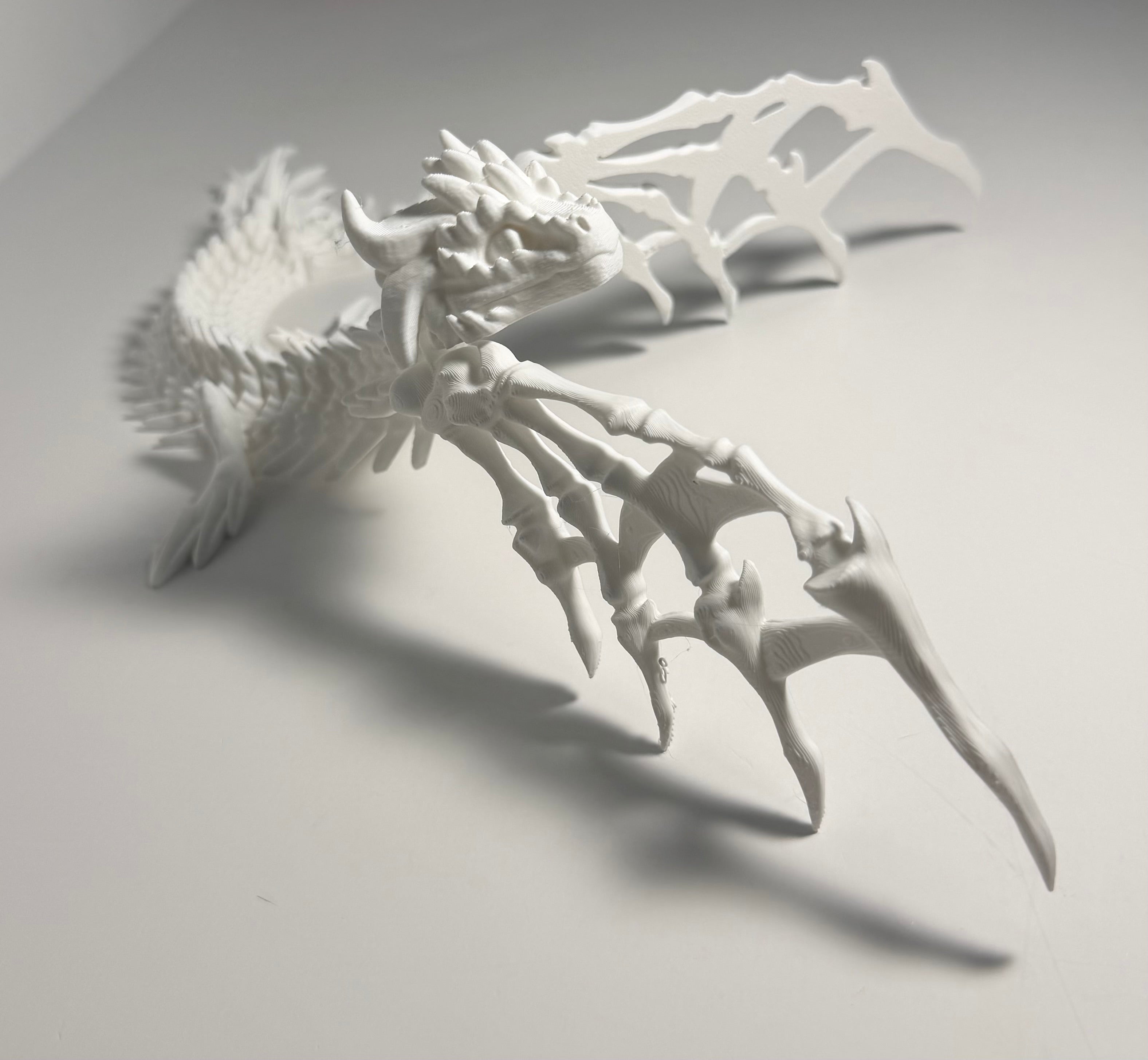Articulated Dragon Skeleton