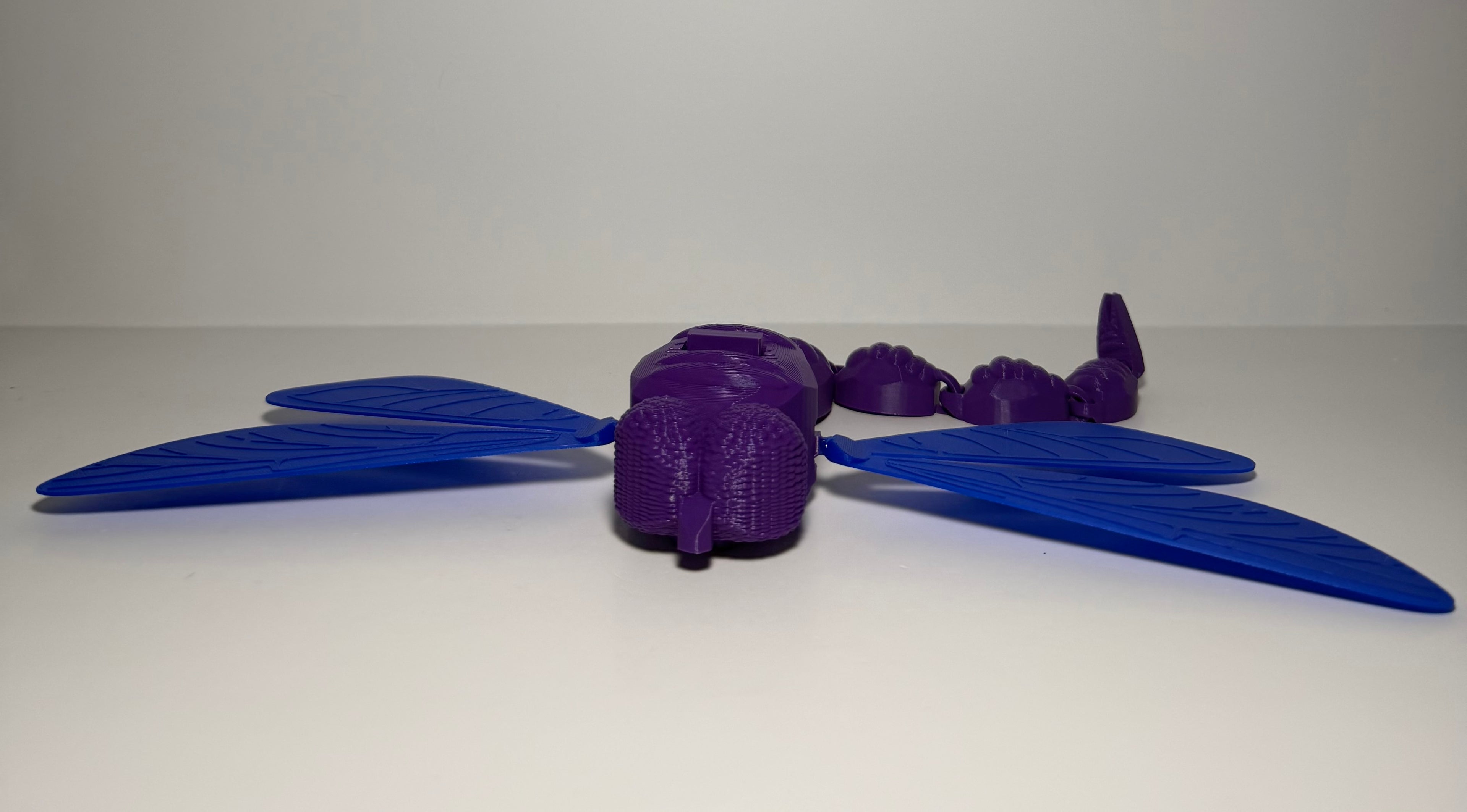 Articulated Dragonfly with Moving Wings