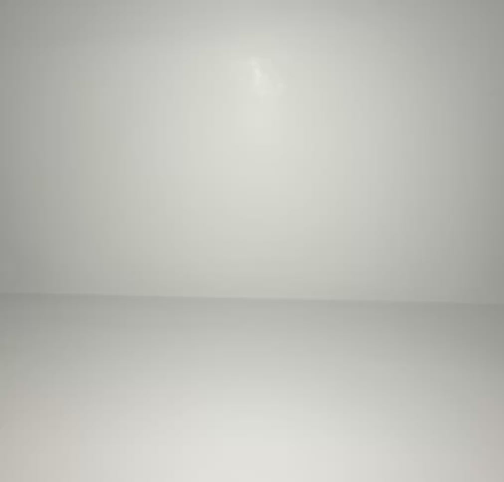 Articulated Dragonfly with Moving Wings